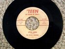 ROYAL DRIFTERS LITTLE LINDA/S' WHY HARD 45 Teen 506 Rare Hawaiian Doo Wop Garage