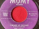 THE MUMY _ Sweet Soul / Funk _ DONT LET THE SUN CATCH YOU CRYING 45 Breaks 7