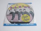 THE BEACH BOYS 'SURFIN' SAFARI' LP EU EXCLUSIVE PICTUREDISCS 1986 PICTURE DISC