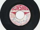 REGGAE ROOTS 45 SUN SHOT LABEL ROMAN STEWART 