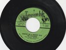 REGGAE SKA 45 TREASURE ISLE THE PARAGONS 