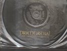 PRIMORDIAL - the gathering wilderness LP picture disc
