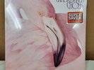 SEALED  1983 Christopher Cross 