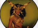 CHER/ TAKE ME HOME VINYL PICTURE DISC