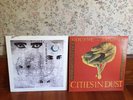 2 SIOUXSIE AND THE BANSHEES Vinyl Through the Looking Glass ‘87+ Cities In Dust