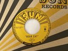 Rufus Thomas 45 Bear Cat /Walking in the Rain SUN Third Man soul NEW unplayed