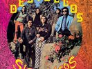 Los Destellos Sicodélicos  (Vinyl)  12