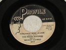 Night Raiders feat. Mickey Hawks - Screamin' Mimi Jeanie - rockabilly - Listen