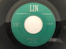 Texas Rockabilly 45 DON TERRY Knees Shakin' LIN  hear