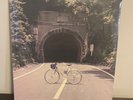 The Backseat Lovers - When We Were Friends Color Vinyl LP New Factory Sealed