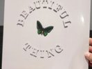 The Stone Roses Beautiful Thing 12