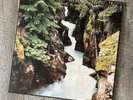 Cat Stevens – Back To Earth – LP Vinyl - 1978