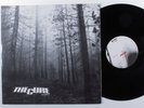 CURE A Forest FICTION 12