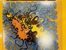 OF MONTREAL - Coquelicot Asleep In The Poppies - 2x Black Vinyl LP Gatefold OOP