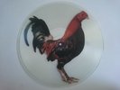 KING KURT BIG COCK STIFF P SEEZ 62 PSYHOBILLY ROCKABILLY PICTURE DISC