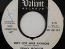 garage mod soul 45 DENNY PROVISOR It Really Tears Me Up VALIANT VG northern xove