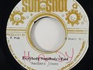 Horace Andy 