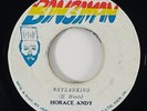 Horace Andy 