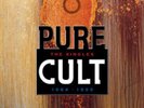 Cult, The - Pure Cult Singles Compilation - Vinyl Record 2LP Import