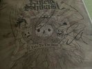 Enter Shikari - Take To The Skies (1st Press) Signed By Band.