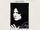 Marc Bolan And T.Rex ‎– Best Of The 20th Century Boy-2XLP-original1985-U.K.Press