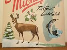 Sufjan Stevens - Greetings from Michigan the Great Lake State Vinyl - NEW SEALED
