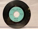 45rpm DAVE SCHERER & THE CASTELS Drop Out / Hide Behind Shadow  1960's Palmer