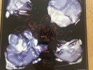 The Stranglers Punk LA FOLIE COURSEGOOD REISSUE Double album - Number 0151