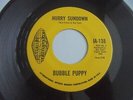 Bubble Puppy - Hurry Sundown 1969 USA 45 INTERNATIONAL ARTISTS PSYCH