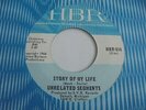 Unrelated Segments - Story Of My Life 1966 USA 45 HBR EX+ GARAGE