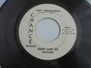 Teddy And His Patches - Suzy Creamcheese 1967 USA 45 CHANCE GARAGE PSYCH