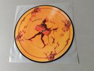 LANDBERK limited Picture Vinyl LP Riktigt Äkta (1996 Record Heaven Sweden)