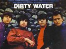 THE STANDELLS Dirty Water (LP) . reedición vinilo garage rock and roll