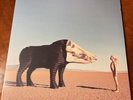 Man Man - Dream Hunting In The Valley Of The In-between FIRST RUN Pink VINYL