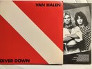 Van Halen - Diver Down  LP BSK-6377 - Warner Bros 1982 - Unplayed NM