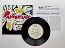THE BEATLES FAN CLUB FLEXI DISC RECORD 1966 PANTOMINE EVERYWHERE IT'S CHRISTMAS