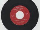 A MUSLIM SINGS/ A WHITE MAN'S HEAVEN IS A BLACK MAN'S HELL - LOUIS X ( ROOTS 7