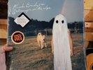 Phoebe Bridgers - Strangers In The Alps  Sealed NEW VINYL
