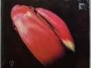 MODERN ENGLISH   I Melt With You   1990 12