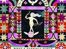 THE DECEMBERISTS - WHAT A TERRIBLE WORLD WHAT A BEAUTIFUL WORLD 2015 GERMAN 2 LP