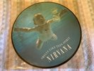 picture disc lp vinyl records, Nirvana, Smells Like Teen Spirit, Protective Slee