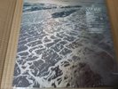 FLEET FOXES - SHORE. DOUBLE VINYL LP WITH ETCHED D SIDE, POSTER AND SIGNED CD.