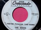 THE SEEDS - YOU'RE PUSHING TOO HARD - 45 rpm - GNP Crescendo 372  original title