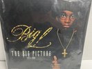 Big L The Big Picture 1974-1999 RARE Yellow Vinyl Limited Edition 2018 Re-Issue