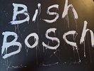 SCOTT WALKER - BISH BOSCH  VINYL LP + CD  2 × RECORDS & BOOKLET. C