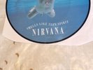 Nirvana Smells Like Teen Spirit 12 Inch Single Picture Disc
