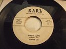 SUNNIE LEE puppy love KARL CE-3008 rare custom press HILLBILLY BOP girl vox 45