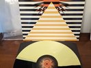 The Asteroid No. 4 – Northern Songs - Vinyl LP Reissue Cardinal Fuzz Psych