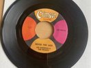 LEE ANDREWS and THE HEARTS - NEVER THE LESS Good Condition