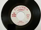 Beaver Patrol ESP Just Like a Lady Pop Psych Pretty Things Cover Florida OBSCURE